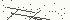 Anti Spam Image